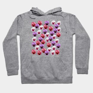 Pink Purple White Pansies Digital Oil Painting Hoodie